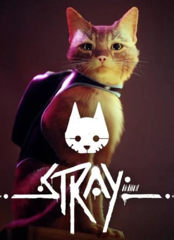 Stray