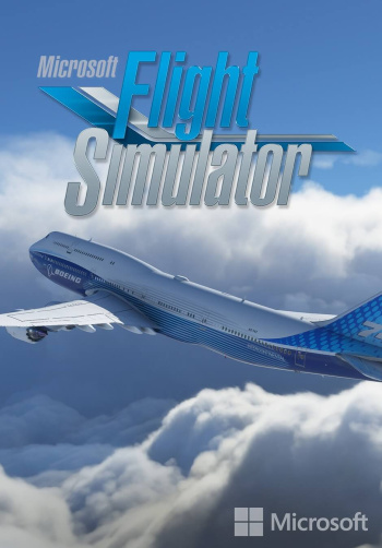 Microsoft Flight Simulator