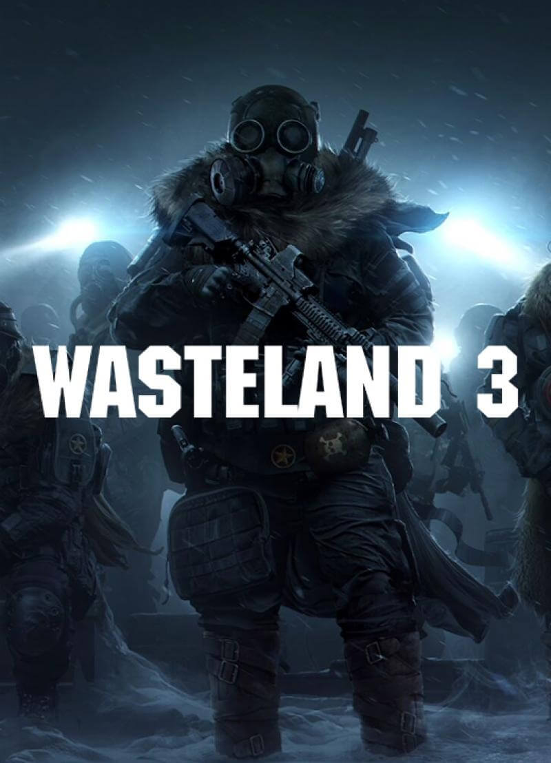 Wasteland 3